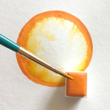 Pumpkin Watercolour half pan