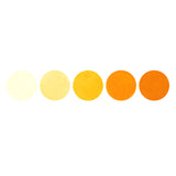 Pumpkin Watercolour half pan
