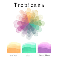 A colour wheel of the Tropicana watercolour set and ombre swatches of Apricot, Liberty and Sugar Plum watercolour paints.