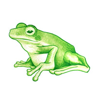 Tree Frog Watercolour half pan